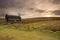 Nuns Cross Farm Dartmoor Devon Uk