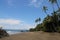 Nuqui Colombia Palm Trees and Beach