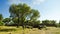 Nuragic complex of Serra Orrios, Dorgali. Province of Nuoro, Sardinia. Italy