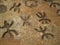 Nuragic stone age old petroglyphs runic writings inside Sea Oxen Grottoes Sardinia