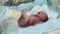 Nurse cheking reflex of newborn crying baby in maternity hospital. Listening heart by stethoscope