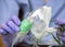 Nurse prepares oxygen mask in a hospital