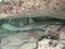 Nurse Shark Sleeping in cave