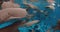 Nurse sharks underwater in tropical blue sea. School of fish and sharks in blue ocean, Maldives
