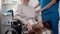 Nurse taking care about elderly woman in wheelchair covered by blanket, hospital