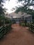 Nursery, fence, trees, sky, structure