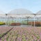 Nursery with greenhouses.