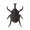 Nursery nature insect isolated animal garden vector object beetles