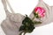 Nursing bra for mothers. moms bra with A rosebud of pink color in the language of flowers means pride and gratitude, love