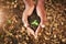 Nurture a better future. High angle shot of an unrecognizable person holding a plant growing in soil.