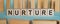 Nurture Word Written on Wooden Cubes