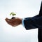 Nurture your dreams with care. Closeup shot of an unidentifiable businessman holding a plant growing in soil.