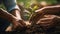 A nurturing hand cradles a sapling, uniting nature and humanity