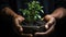 Nurturing Life: Hands Embrace a Growing Plant