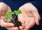 Nurturing Nature\'s Promise: Hand Holding a Small Plant, Symbolizing Growth and Hope