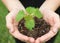 Nurturing Nature\'s Promise: Hand Holding a Small Plant, Symbolizing Growth and Hope