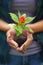 Nurturing the young spirit of nature. Closeup shot of a womanamp039s hands holding a young plant.