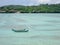 Nusa lembongan seaweed farming in Bali