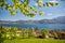 Nussdorf at lake Attersee with meadows and mountains