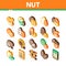 Nut Food Different Isometric Icons Set Vector