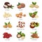 Nut grains icon set, healthy vegan snack