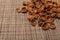 Nut Kernels, Hazelnuts Pile, Healthy Organic Nuts Group, Nut Kernels