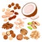 Nut seeds with shells set vector illustration. Cartoon isolated organic dry nutty food mix, natural snack collection