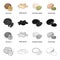 Nut, walnuts, pine and other web icon in cartoon style.Delicacy, treats, product icons in set collection.