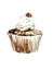 Nut watercolor illustration cupcake sweet food