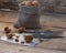 Nutcracker with walnuts on wooden background