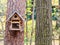 Nuthatch bird in handmade wooden feeder in park