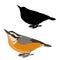 Nuthatch bird vector illustration flat style silhouette