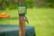 Nuthatch eyeing suet feeder