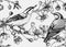 Nuthatches on cherry blossom sketch background in engraved style. Vintage spring seamless pattern with contoured birds and sakura