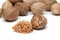 Nutmeg and nutmeg granules on white background