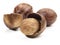 Nutmeg in Nutmeg Shell on white Background - Isolated