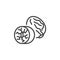 Nutmeg seed line icon