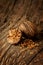 Nutmeg spice close up (macro) on vintage wood