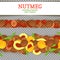 Nutmeg spicy horisontal seamless border. Vector card illustration