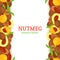 Nutmeg spicy verticall seamless border. Vector card illustration