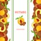 Nutmeg verticall seamless border. Vector illustration with composition of a delicious pattern nutmeg fruit in the shell