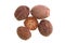 Nutmeg â€“ Seed of Nutmeg Tree