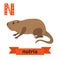 Nutria. N letter. Cute children animal alphabet in vector. Funny