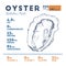 Nutrition Fact of Oyster, Hand draw sketch vector.