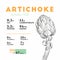 Nutrition facts of artichoke, hand draw vector