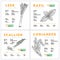 Nutrition facts of leek, basil, scallion and coriander.