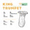 Nutrition facts of Mushroom Type King Trumpet Vector Illustration - Vector