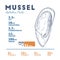 Nutrition facts of mussel, hand draw sketch vector