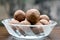 Nutritious Tilgul Laddu a special food for makar sankranti