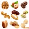 Nuts and beans. Walnut, hazelnut, coffee and cashew. Cocoa, pistachio, almond, peanut and chickpea. 3d vector set